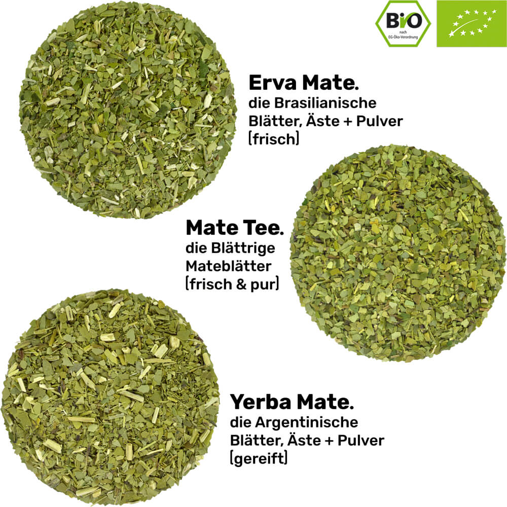 Drei Bio-Mate-Sorten – 300g zum Probieren.